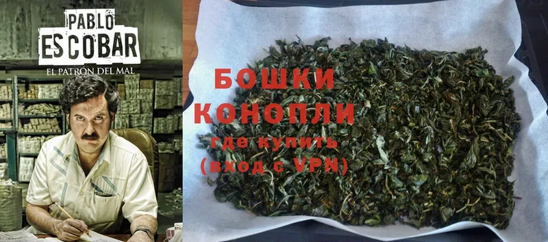 Бошки марихуана THC 21%  нарко площадка какой сайт  Волгореченск 